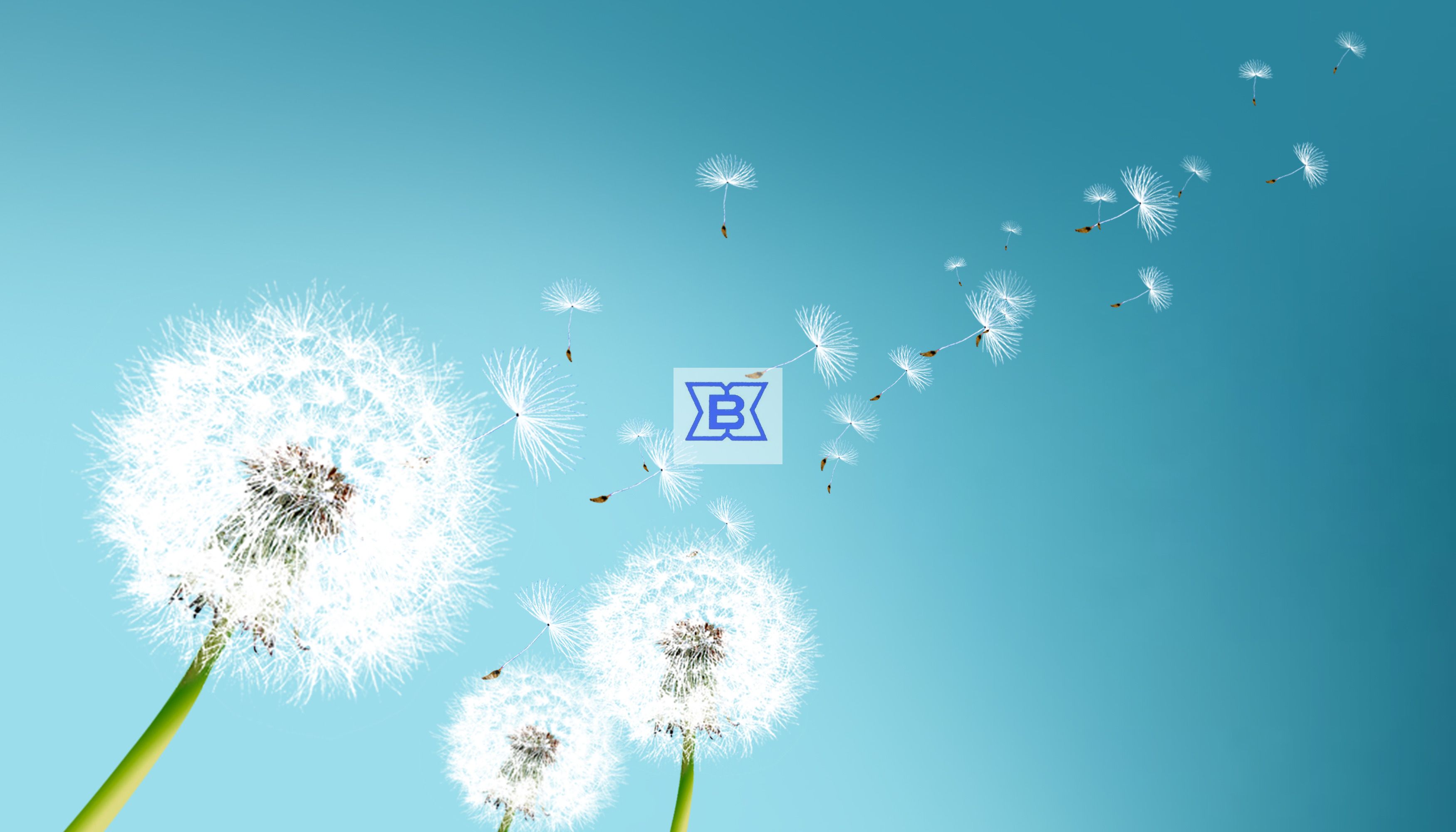 ����������(�й�)������-�й�����