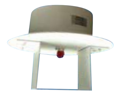 ����������(�й�)������-�й�����